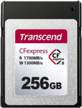 256GB Transcend TS256GCFE820