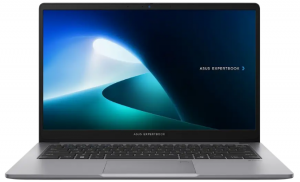 Asus ExpertBook P1 P1503CVA Asus ExpertBook P1 P1503CVA