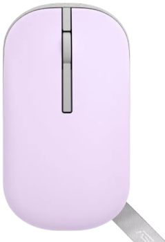 Asus MD100 Purple
