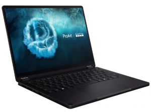 Asus ProArt GoPro Edition PX13 HN7306EAC Black