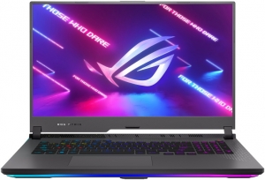 Asus ROG Strix G17 G713RM