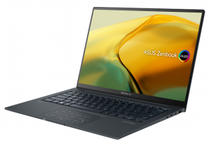 Asus Zenbook 14X OLED UX3404VA Gray