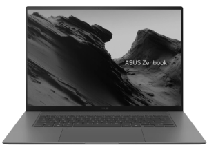 Asus Zenbook S 14 UX5406SA Gray