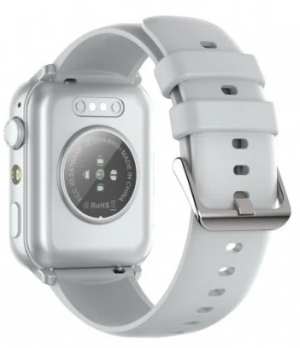 Blackview R30 Max Silver