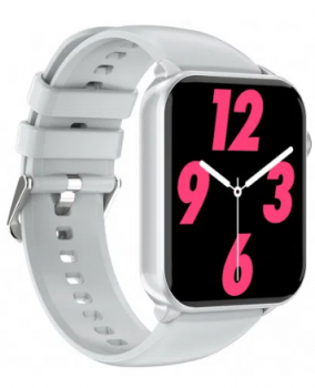 Blackview R30 Max Silver