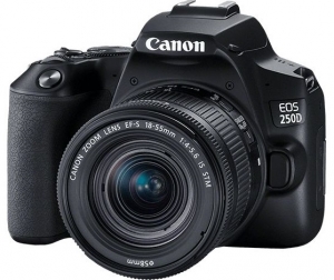 Canon EOS 250D & EF-S 18-55mm f/3.5-5.6 III KIT