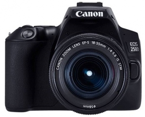 Canon EOS 250D & EF-S 18-55mm f/3.5-5.6 IS STM KIT