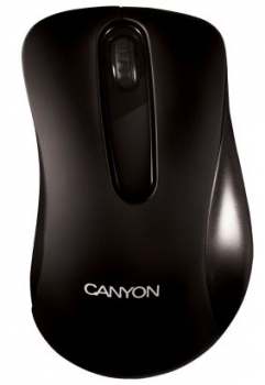 Canyon Barbone Optical Canyon Barbone Optical