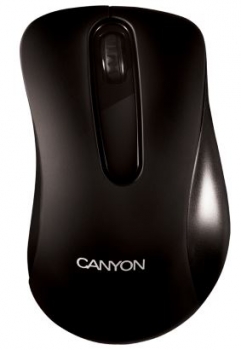 Canyon Barbone Optical