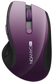 Canyon MW-01 Black/Purple