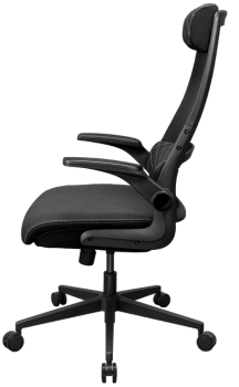 Cougar Stryder Black