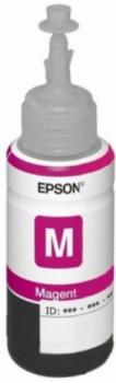 Epson T66434A Magenta