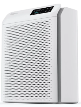 Evoair Homi P300