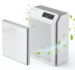 Evoair Homi P300