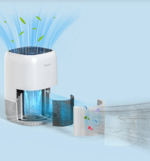 Evoair Nuvia