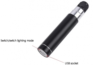 Fiber Optic Dance Whip