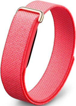 Google Fitbit Air Berry