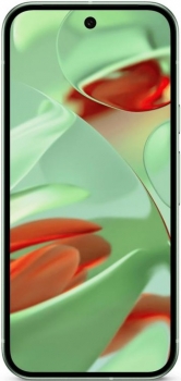 Google Pixel 9 256Gb Wintergreen