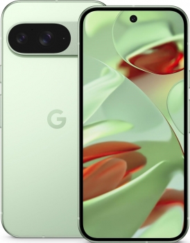 Google Pixel 9 256Gb Wintergreen