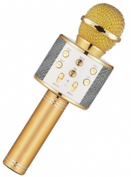 Helmet Handheld KTV Gold