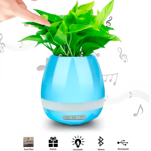 Helmet Music Flowerpot Blue