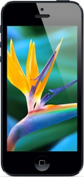 Apple iPhone 5 16Gb Black Neverlock Apple iPhone 5 16Gb Black Neverlock