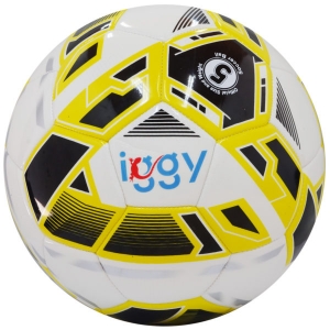 IGGY IGFB Pro