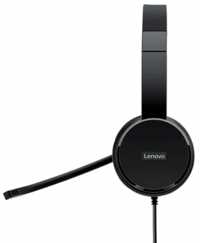 Lenovo 100 Stereo USB