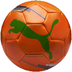 Puma Evospeed Football Size 5