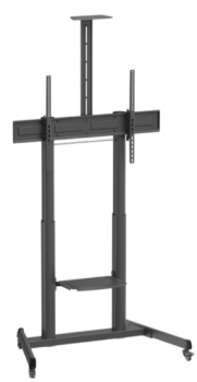 Reflecta 100P-10060T