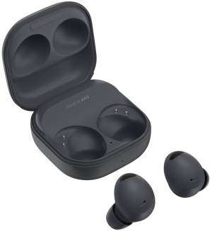 Samsung Galaxy Buds 2 Pro Gray