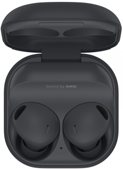 Samsung Galaxy Buds 2 Pro Gray