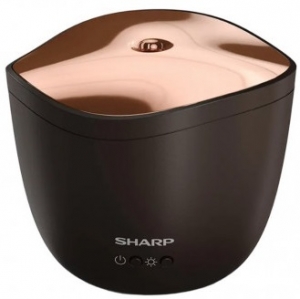 Sharp DF-A1ETS01