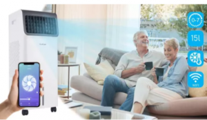 Thunder Breeze White