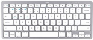 Trust Basic Silver Trust Basic Silver