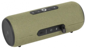 Yandex Station Street Green