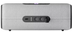 Yandex Station Street Grey